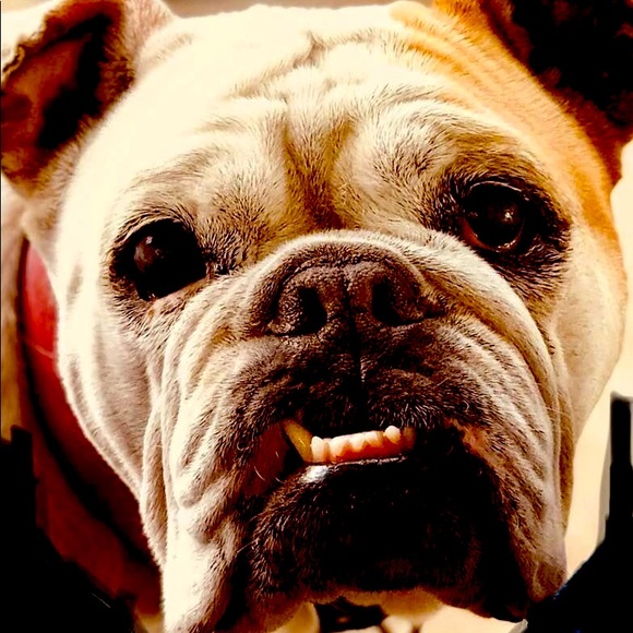 Meet your Posher, Lane - Picture 1 of 3